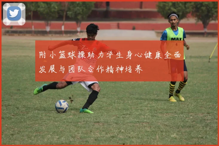 附小篮球操助力学生身心健康全面发展与团队合作精神培养