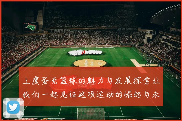 上虞蛋壳篮球的魅力与发展探索让我们一起见证这项运动的崛起与未来