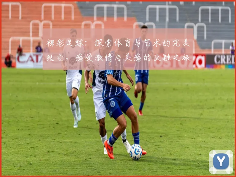 裸彩足球：探索体育与艺术的完美结合，感受激情与美感的交融之旅