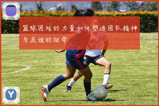 篮球团结的力量如何塑造团队精神与友谊的纽带