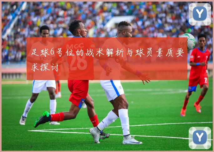 足球6号位的战术解析与球员素质要求探讨