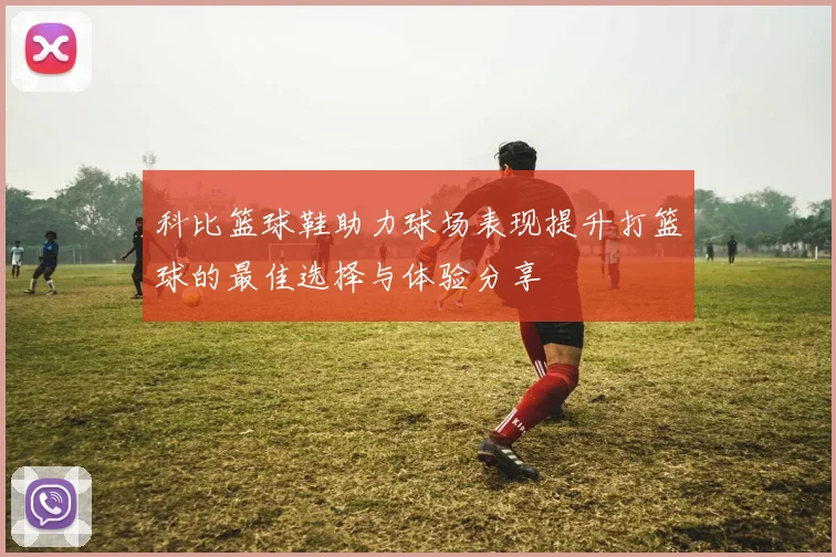 科比篮球鞋助力球场表现提升打篮球的最佳选择与体验分享