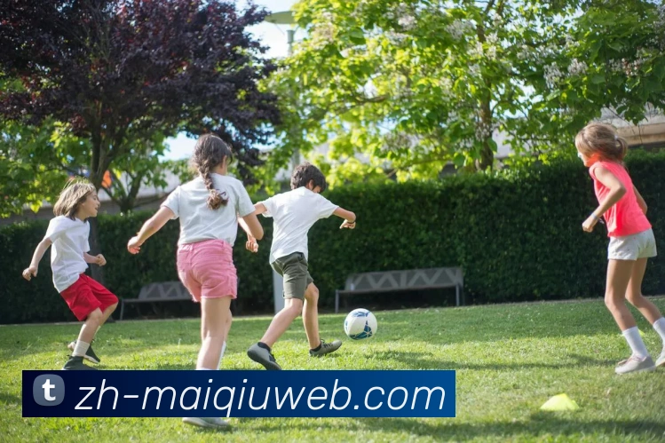 买球官网发展历程